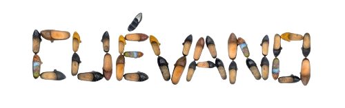 Cuévano | Grupu de música asturiana